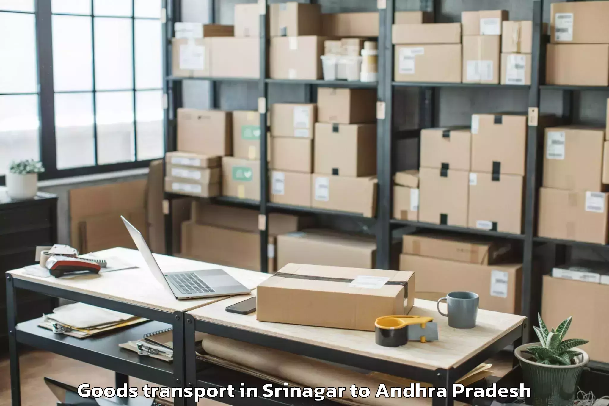 Comprehensive Srinagar to Nellore Goods Transport